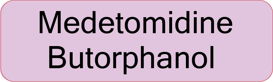 Medetomidine Butorphanol, 40 x 12, PAPER, Black print on Violet Label, 800 per roll