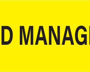 WOUND MANAGEMENT - 40 x 12 , PAPER, Black print on  Fluoro Yellow Label, 800 per roll