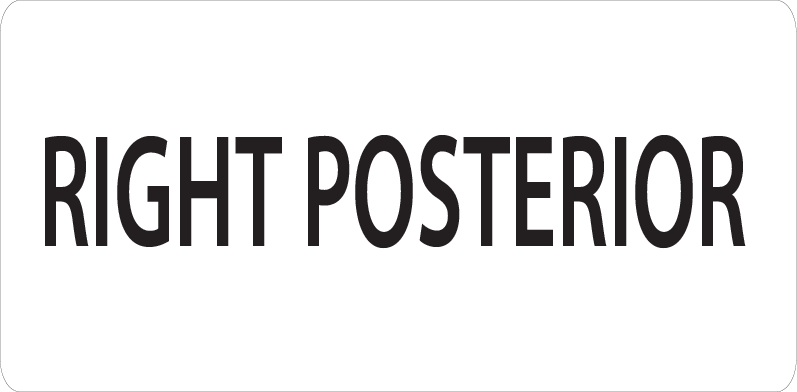 RIGHT POSTERIOR - 40 x 12, PAPER, Black print on White Label, 800 per roll