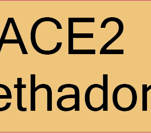 ACE2 Methadone 40 x 12, PAPER, Black print on Salmon Label, 800 per roll