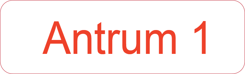 Antrum 1 - 40 x 12, PAPER, Red print on White Label, 800 per roll