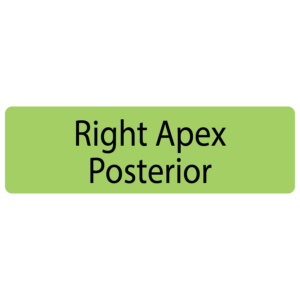 Right Apex Posterior,  40 x 12, PAPER, Black print on Green Label, 800 per roll
