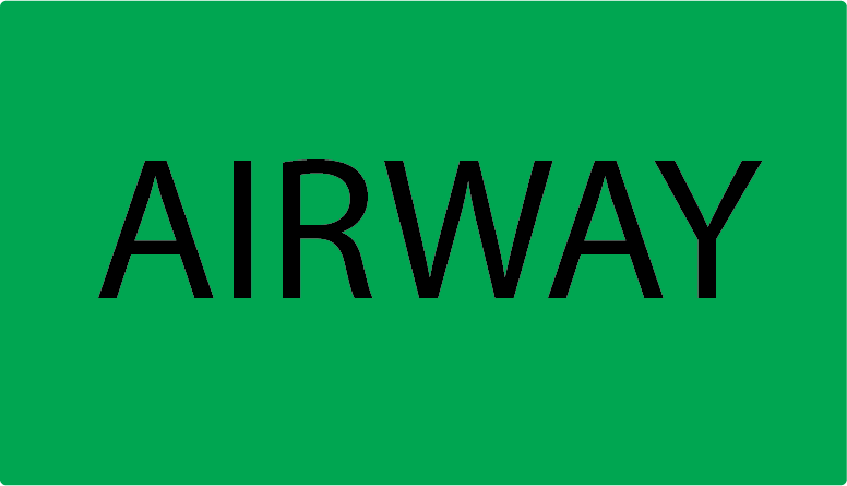 7040G/25 AIRWAY 70mm x 40mm, Black Print on Fluoro Green Paper Label 500/rl