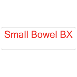 Small Bowel BX - 40 x 12, PAPER, Red print on White Label. 800 per roll