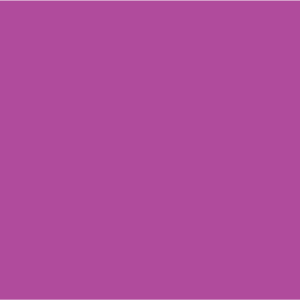 BLANK VIOLET - 50 x 90, hole punched, 100 per packet with ties