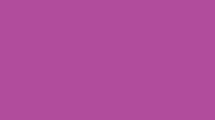 BLANK VIOLET - 50 x 90, hole punched, 100 per packet with ties