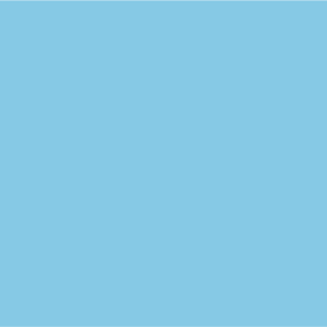 BLANK BLUE - 50 x 90, hole punched, 100 per packet with ties