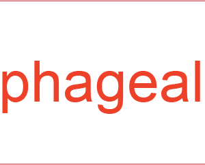 Oesophageal EMR - 40 x 12, PAPER, Red print on White Label, 800 per roll