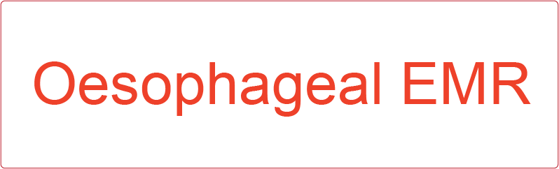 Oesophageal EMR - 40 x 12, PAPER, Red print on White Label, 800 per roll