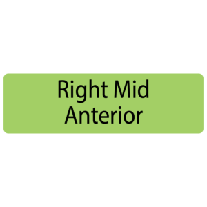 Right Mid Anterior, 40 x 12, PAPER, Black print on Green Label, 800 per roll