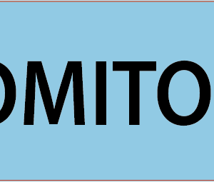 DOMITOR  - 40 x 12, PAPER, Black print on Blue Label, 800 per roll