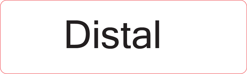 Distal - 40 x 12, PAPER, Black print on White Label, 800 per roll