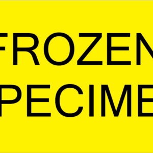 FROZEN SPECIMEN - 70 x 40 Black on Fluoro Yellow 500 per roll