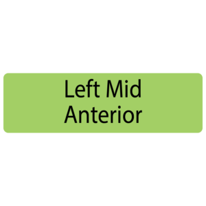Left Mid Anterior, 40 x 12, PAPER, Black print on Green Label, 800 per roll