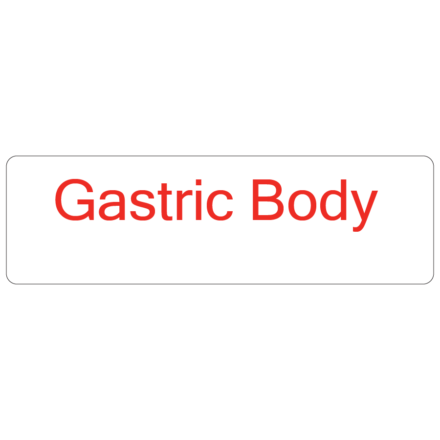 Gastric Body - 40 x 12, PAPER, Red print on White Label. 800 per roll