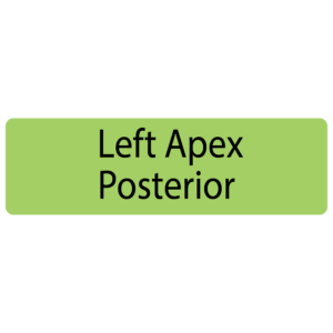 Left Apex Posterior,  40 x 12, PAPER, Black print on Green Label, 800 per roll