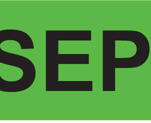 SEP- 40 x 12, PAPER, Black print on Fluoro Green Label, 800 per roll