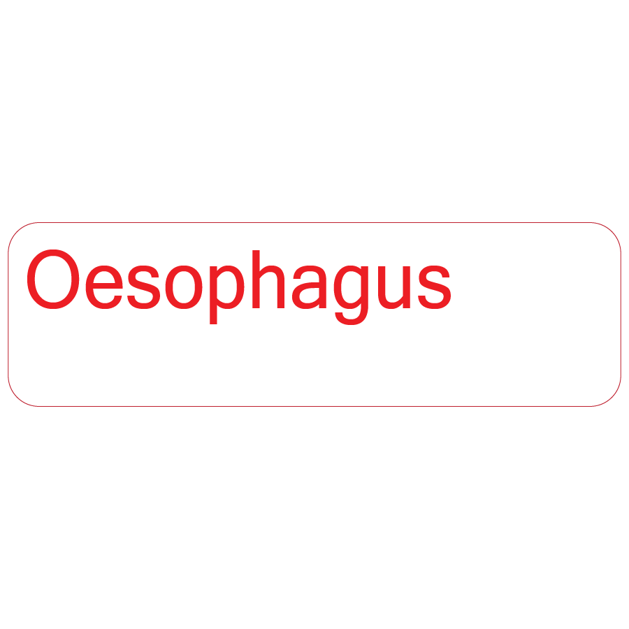 Oesophagus, 40 x 12, PAPER, Red print on White Label, 800 per roll