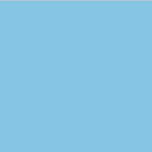 Blank Polytag ( with A Star) - 110 x 50, Black print on Blue Tag, 100 per pack with ties