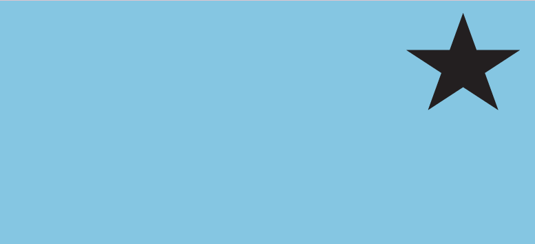 Blank Polytag ( with A Star) - 110 x 50, Black print on Blue Tag, 100 per pack with ties